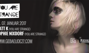 2017-01-you-are-strange-sophie-nixdorf-matt-k-gebaeude27